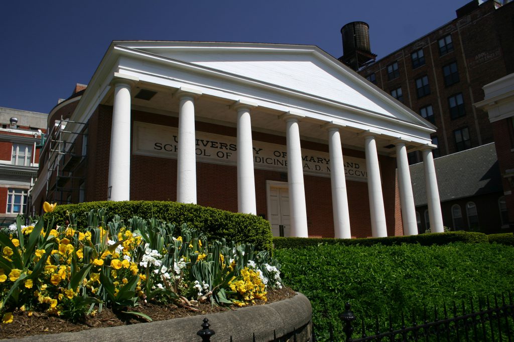 Higher Education