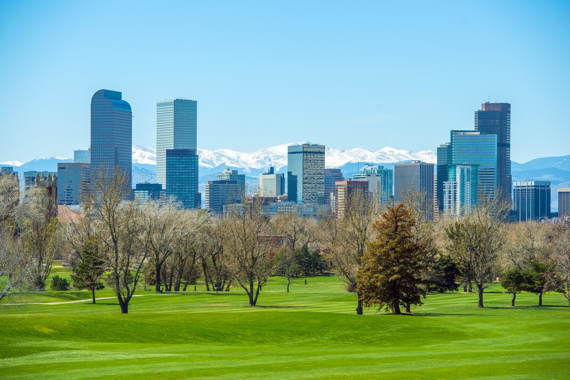 Sunny Denver Skyline